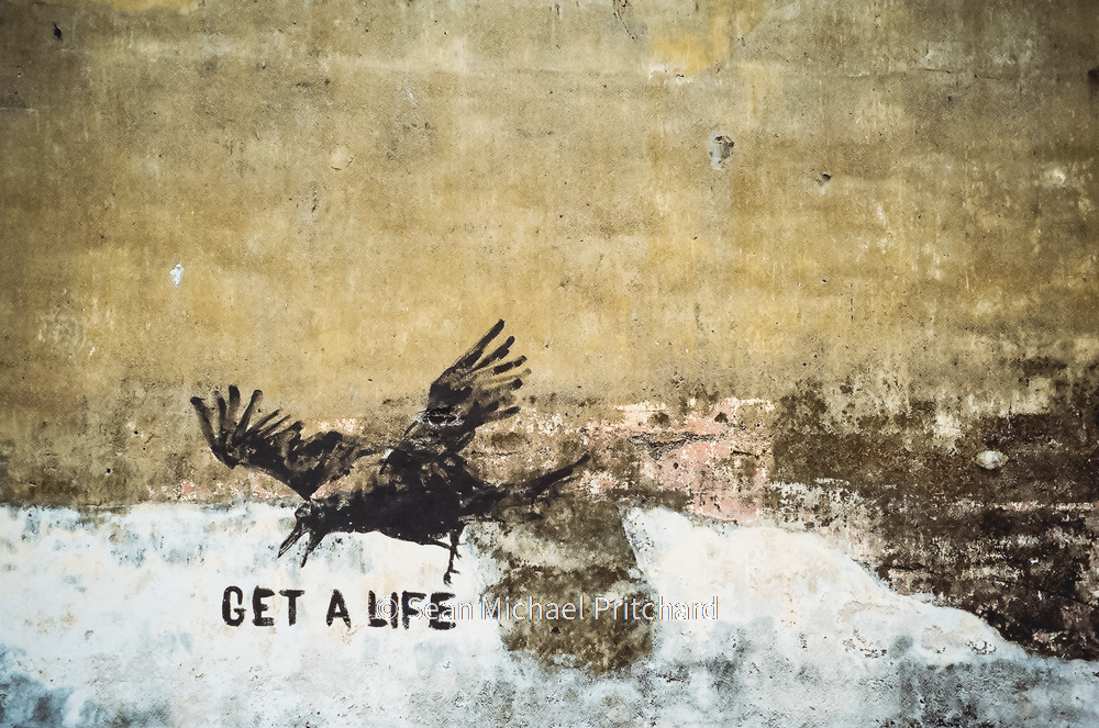get life bird street graffiti