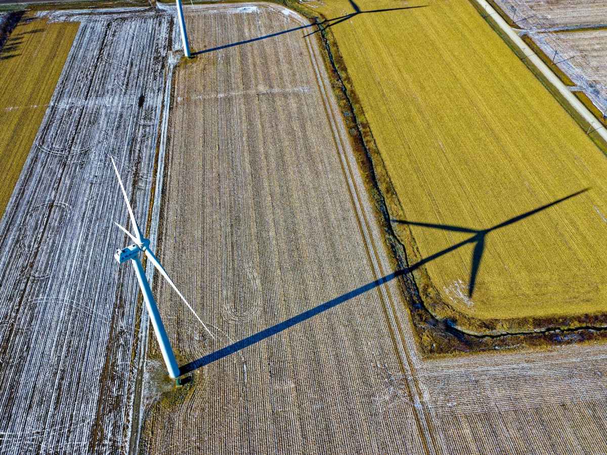 Light and Shadow Photography: An Essential&nbsp;Guide