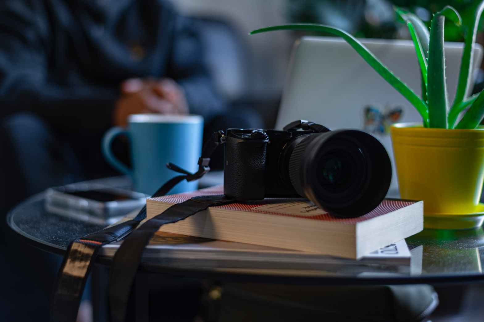 a black camera on top of the book near the potted plant