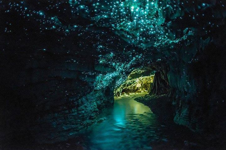 waitomo glowworm photography