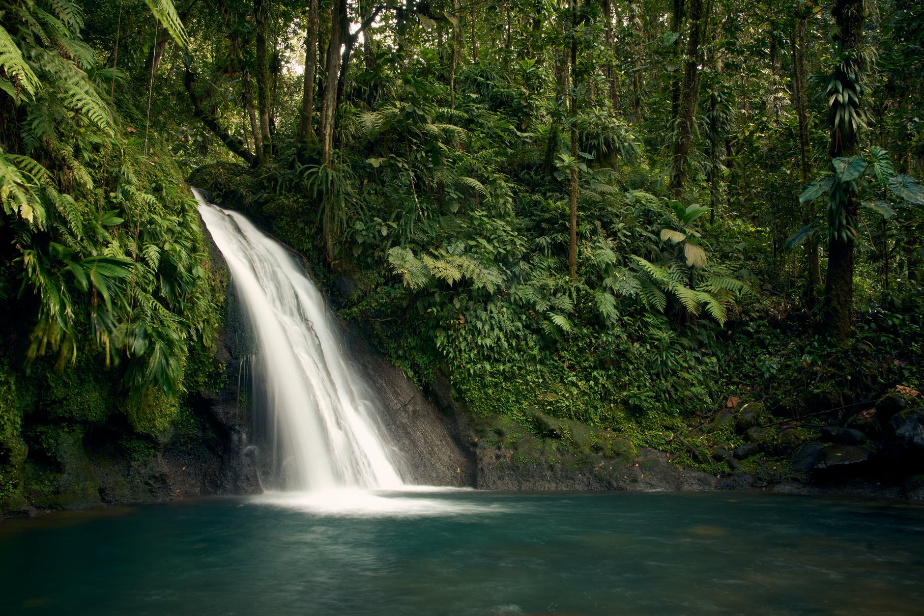 long exposure waterfalls in the middle of green trees