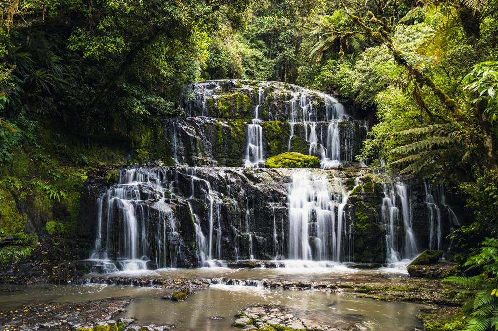 purakaunui falls catlins waterfalls