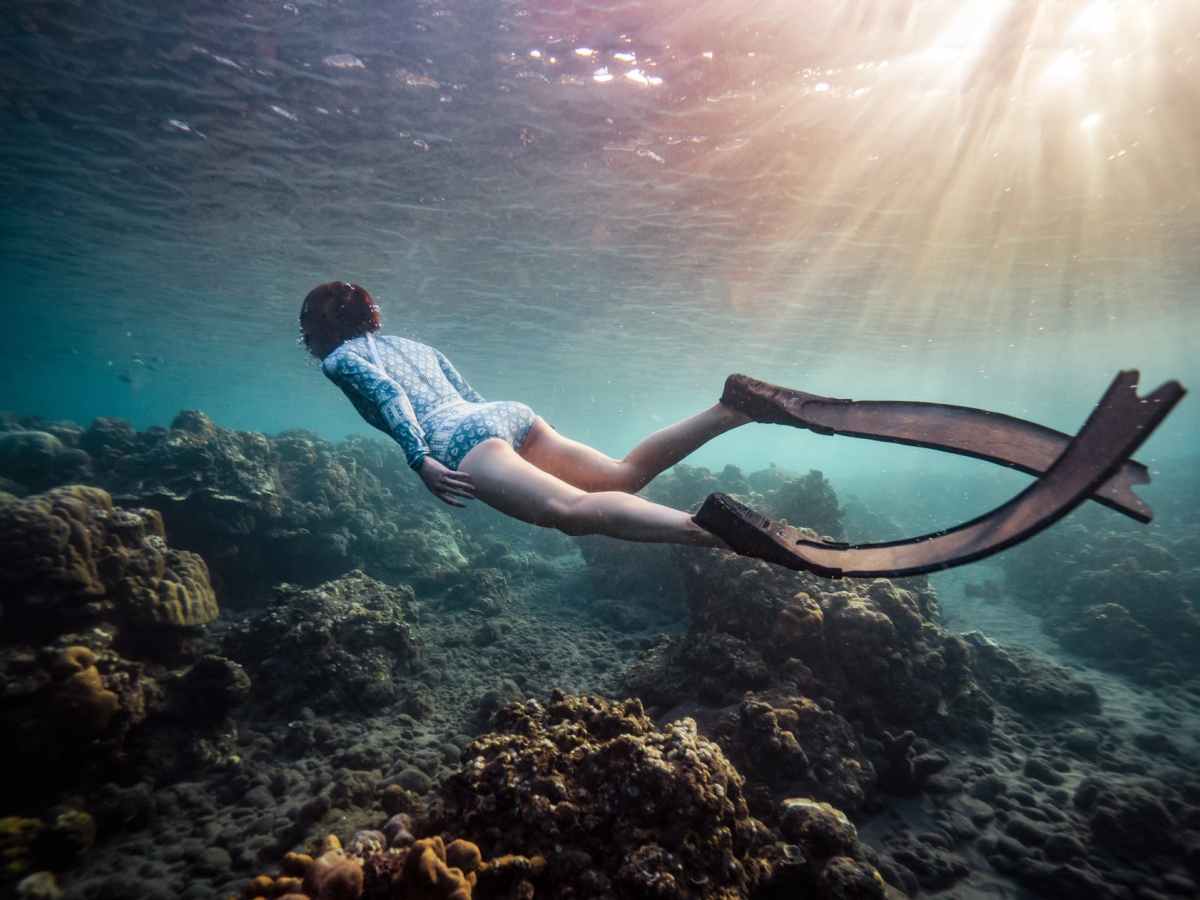 Best Underwater and Waterproof&nbsp;Cameras