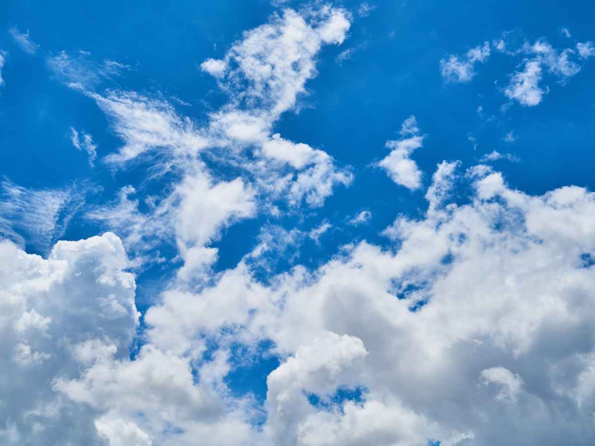 Best Cloud Storage for&nbsp;Photographers