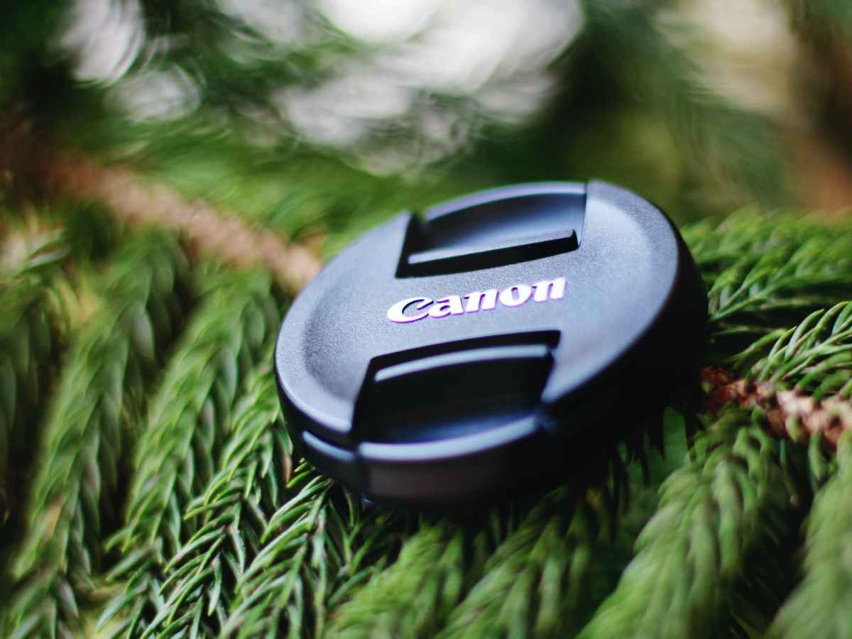 Best Canon RF&nbsp;Lenses