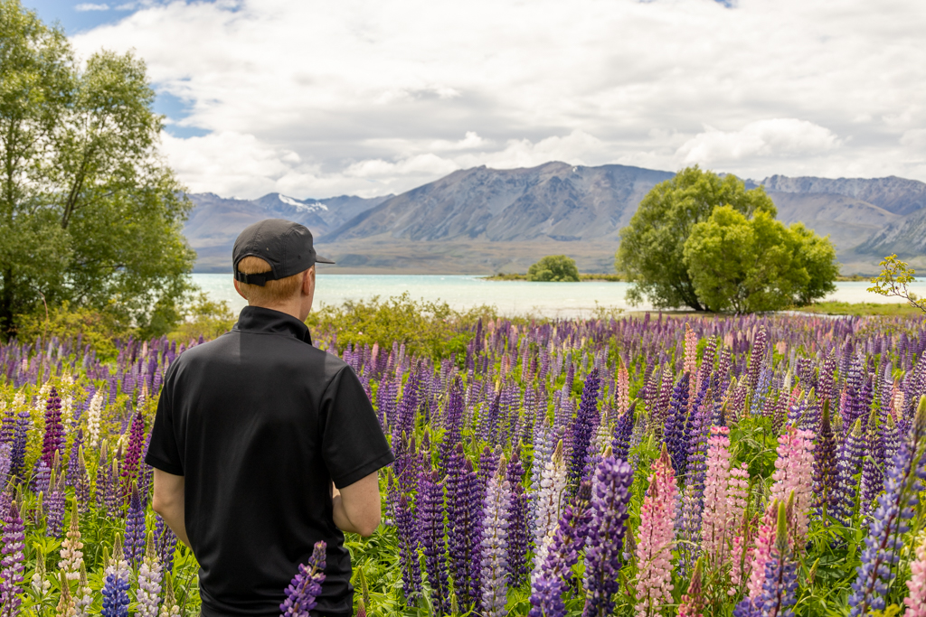 PHOTOGRAPHER IN LUPINS AT LAKE TEKAPO